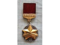 Badge VLKSM Young Guardsman 1st class Xl five-year